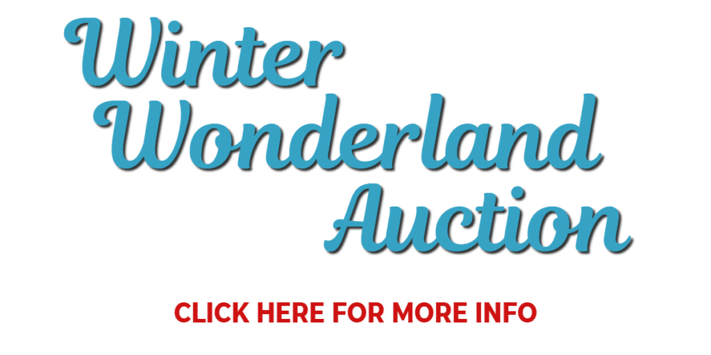 Winter Wonderland Auction